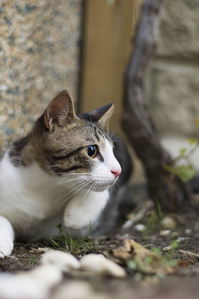 DSC_4864 拷貝.jpg