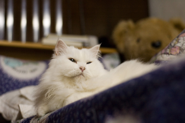 DSC_7535 拷貝.jpg
