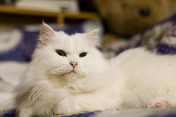 DSC_7536 拷貝.jpg