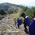 下推論山 寬大的防火林道