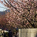 平菁街2014_005.jpg