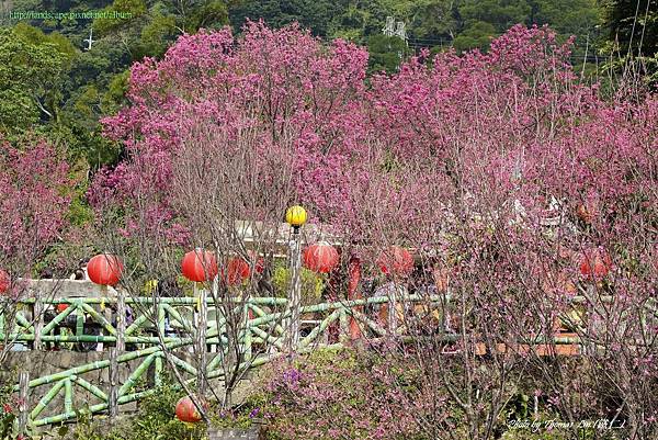 復興三路 2014_012.jpg