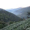 2014南湖北山+審馬陣_01.JPG