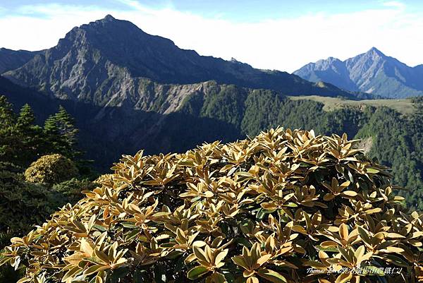 2014南湖北山+審馬陣_62.JPG 2014南湖北山+審馬陣_62.JPG