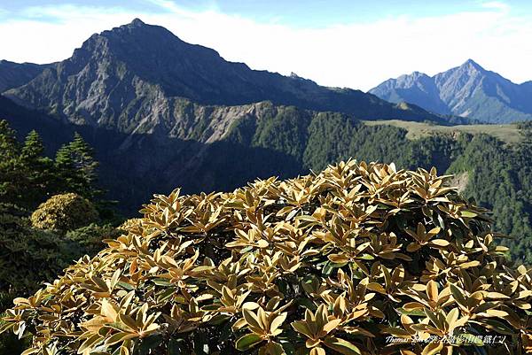 2014南湖北山+審馬陣_62.JPG