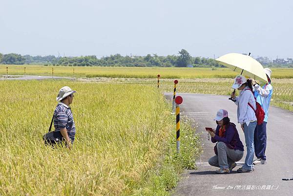 宜蘭的農田_01.JPG