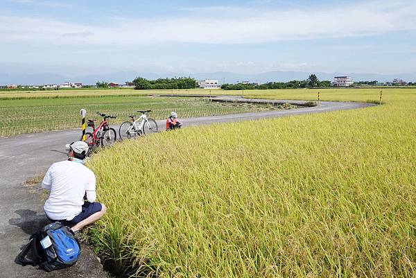 宜蘭20140705_04