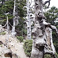 20140913玉山東峰、主峰、北峰_69.jpg