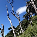 20140914玉山西峰、前峰_19.jpg