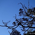 2014北一段D4_039.jpg