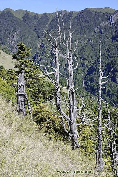 2015夏季雪山翠池行_036.jpg