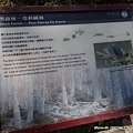 2015夏季雪山翠池行_076.jpg