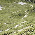 2015夏季雪山翠池行_092.jpg