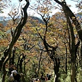 20051105滿月圓-拉卡-北差-多崖-滿月圓_31.jpg