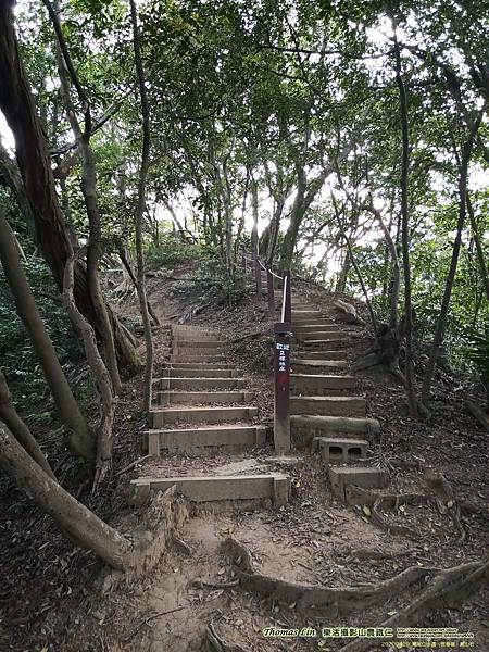 20200429_鳶尾山步道、長春嶺、鳶山岩04.jpg