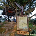 20200429_鳶尾山步道、長春嶺、鳶山岩12.jpg