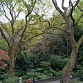 20200311陽明山_01.jpg