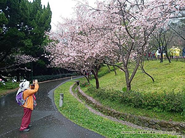 20200311陽明山_06.jpg