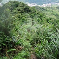 20200705碇內 台北天際線_05.jpg