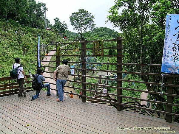 20050507土城桐花公園_03.jpg