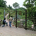 20050507土城桐花公園_03.jpg