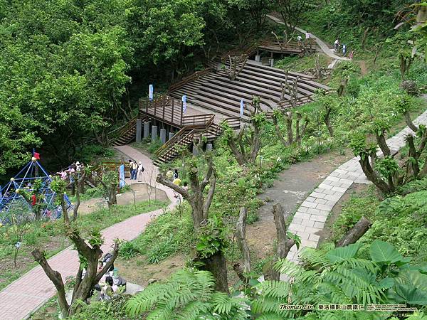 20050507土城桐花公園_01.jpg