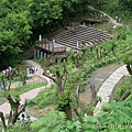 20050507土城桐花公園_01.jpg