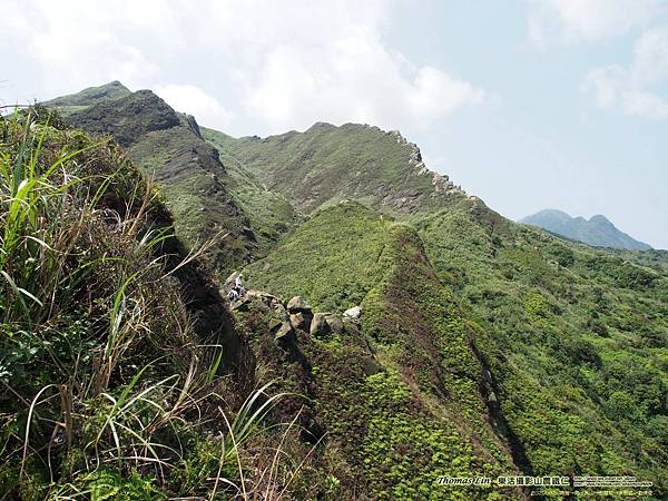 20200326南雅→南子吝山→劍龍稜→水管路→勸濟堂_25.jpg