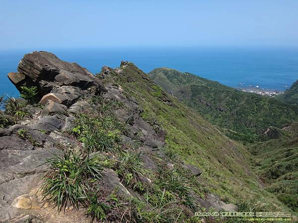 20200326南雅→南子吝山→劍龍稜→水管路→勸濟堂_45.jpg