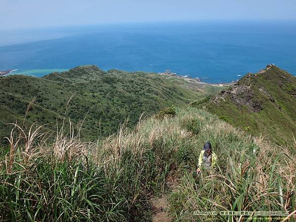 20200326南雅→南子吝山→劍龍稜→水管路→勸濟堂_50.jpg