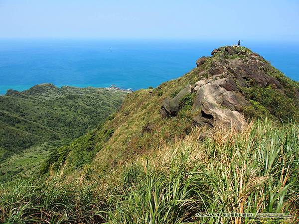 20200326南雅→南子吝山→劍龍稜→水管路→勸濟堂_56.jpg