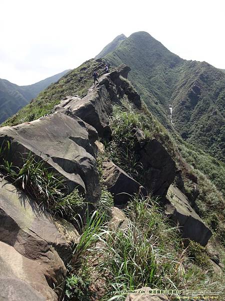 20200326南雅→南子吝山→劍龍稜→水管路→勸濟堂_57.jpg