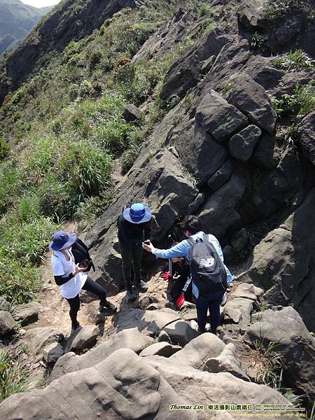 20200326南雅→南子吝山→劍龍稜→水管路→勸濟堂_63.jpg