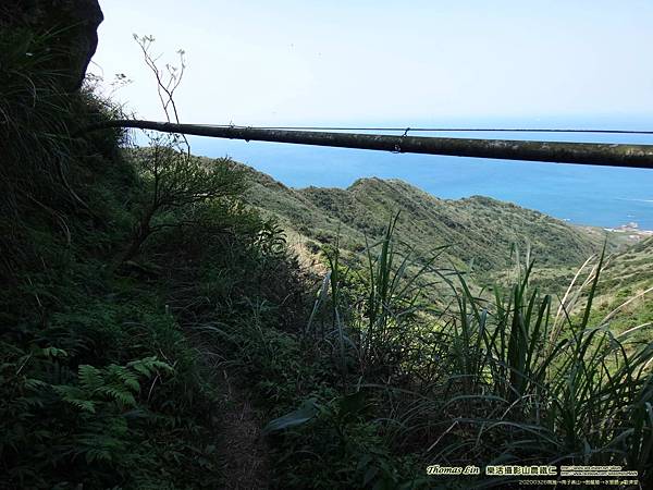 20200326南雅→南子吝山→劍龍稜→水管路→勸濟堂_65.jpg