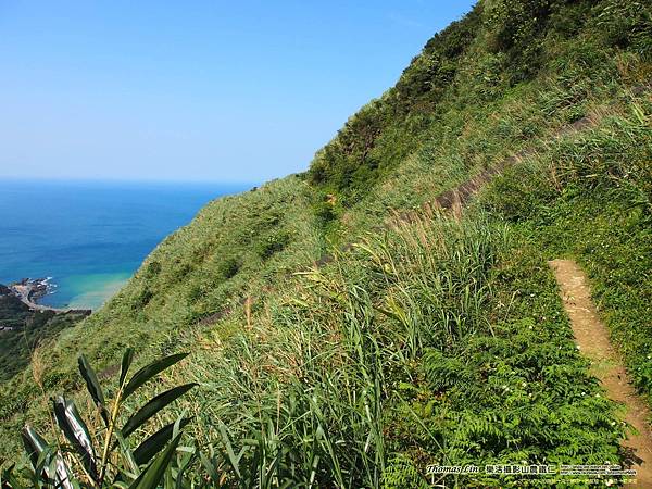 20200326南雅→南子吝山→劍龍稜→水管路→勸濟堂_75.jpg