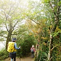 20201028太平山_10.jpg