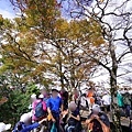 20201107太平山_63.jpg