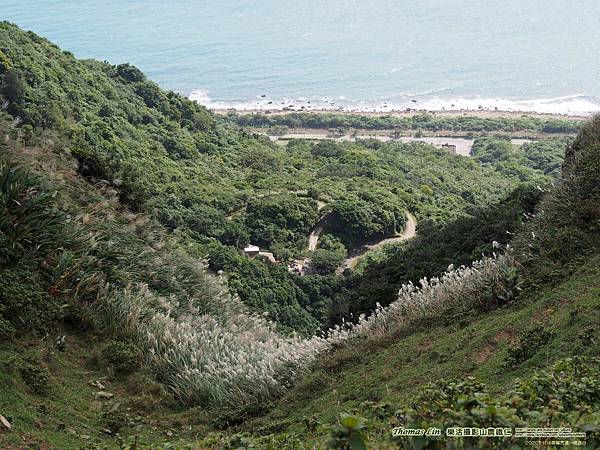 20201104草嶺古道→桃源谷_17.jpg