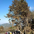 20201217馬拉邦山_47.jpg