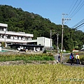 20201125楓樹、龜山苗圃_05.jpg