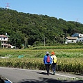 20201125楓樹、龜山苗圃_09.jpg