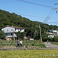 20201125楓樹、龜山苗圃_11.jpg