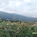 20201122石城山_10.jpg