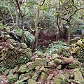 20201122石城山_25.jpg