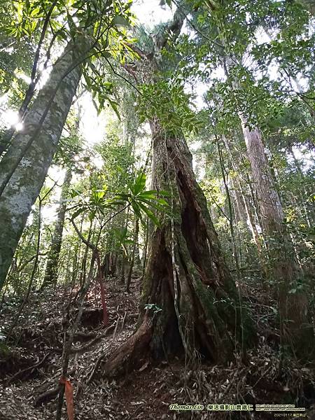 20210117麥巴來山_11.jpg