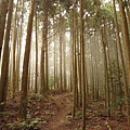 20210314第2次高島縱走_09.jpg