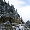 20210112太平山雪景_014.jpg