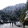 20210112太平山雪景_016.jpg