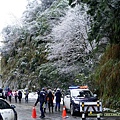 20210112太平山雪景_017.jpg