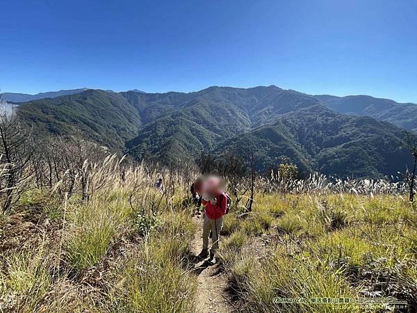 20211202馬武佐野郡山、羅馬神木_012.jpg